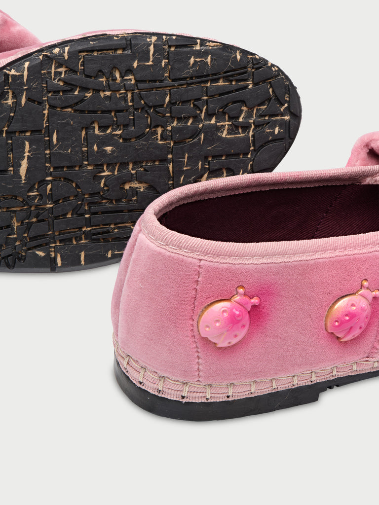 Lyra Ladybug Orchidea